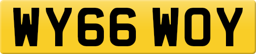 WY66WOY